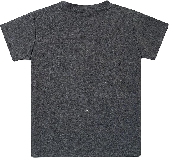 Funnycokid Toddler Boys Shirts Graphic T-Shirt Kids Short Sleeve Tees 2-6 Years